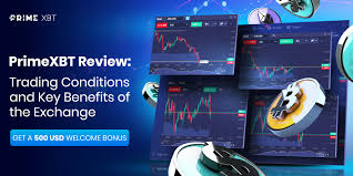 Maximize Your Profits with PrimeXBT Trade 12